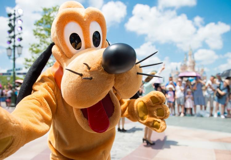 Increased Attendances Boost Disney Theme Parks